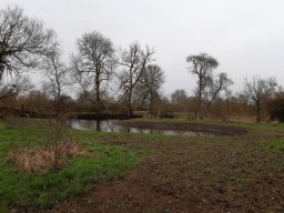 Charvil Backwater - Feb 2021